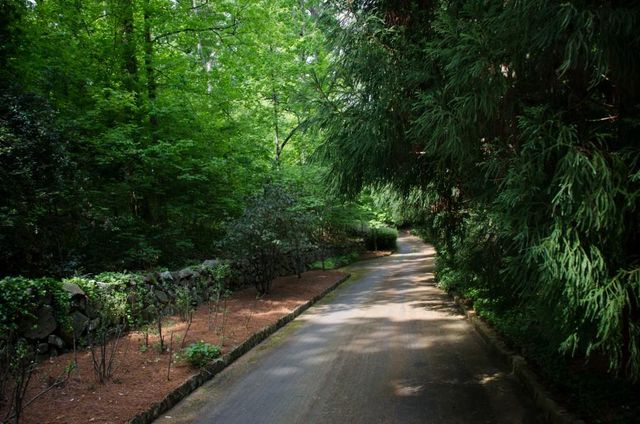 a view of a pathway of a park