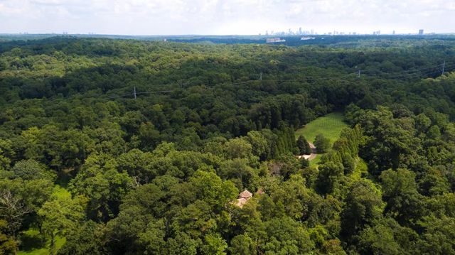 view of a lots of trees and bushes