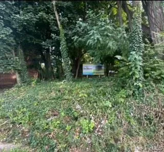 a close view of a shower in bathroom