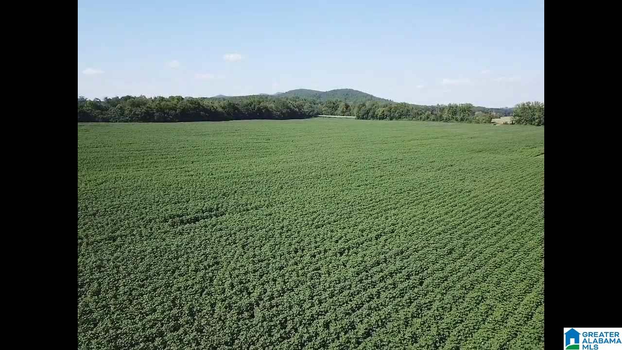 160 Strickland Lane Alpine, AL 35014 - Photo 7 of 50