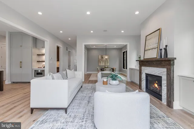 a living room with furniture a fireplace and a potted plant