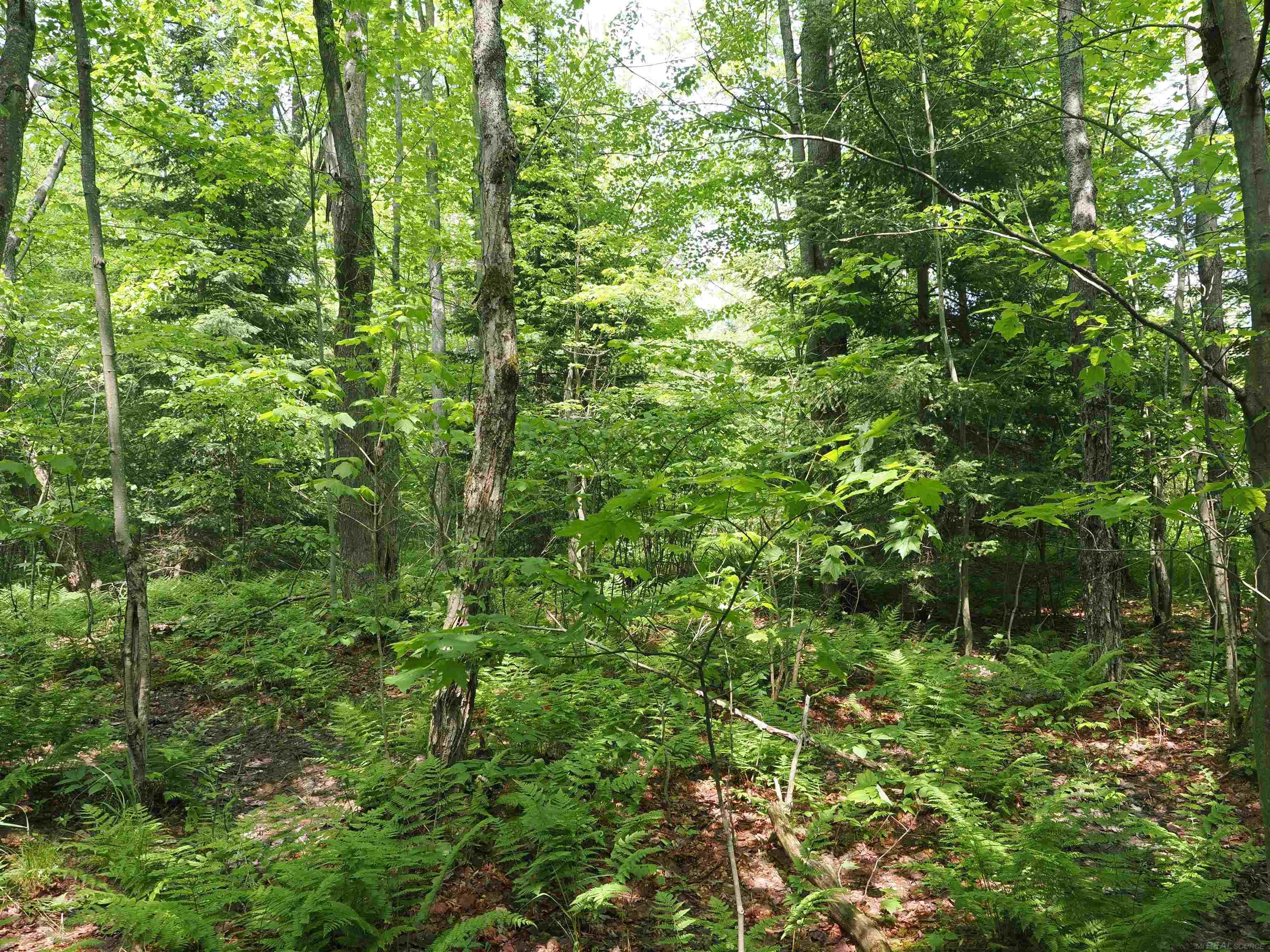 5 West 5 Mile Road Sault Ste. Marie, MI 49783 - Photo 19 of 30