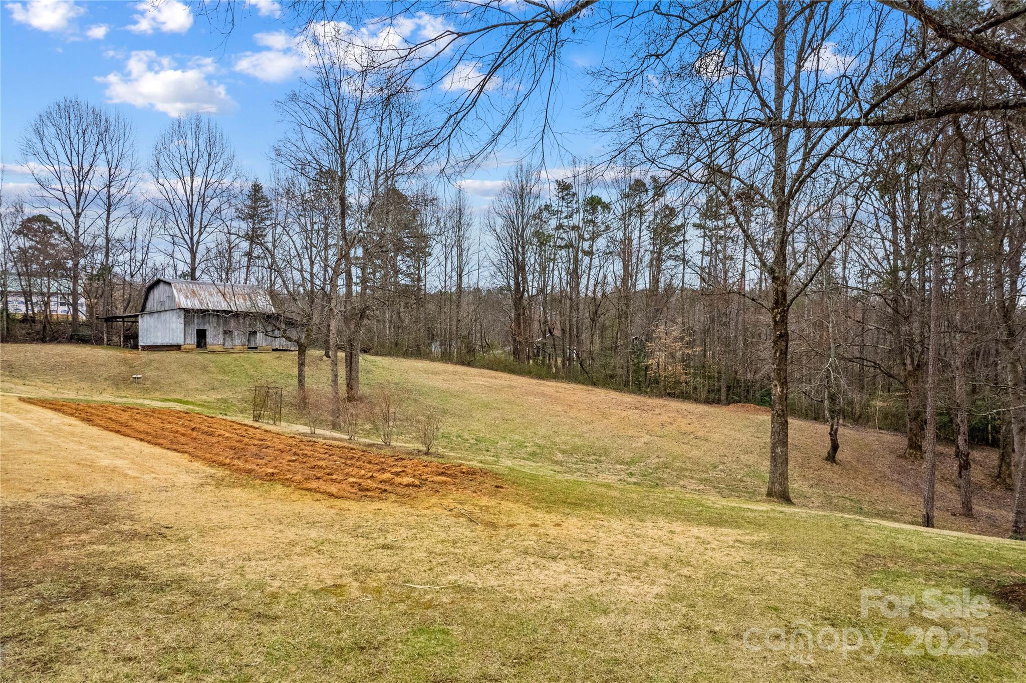 0 Stanley Mill Road, Unit 3 Elkin, NC 28621 - Photo 2 of 12 a view of yard with tree
