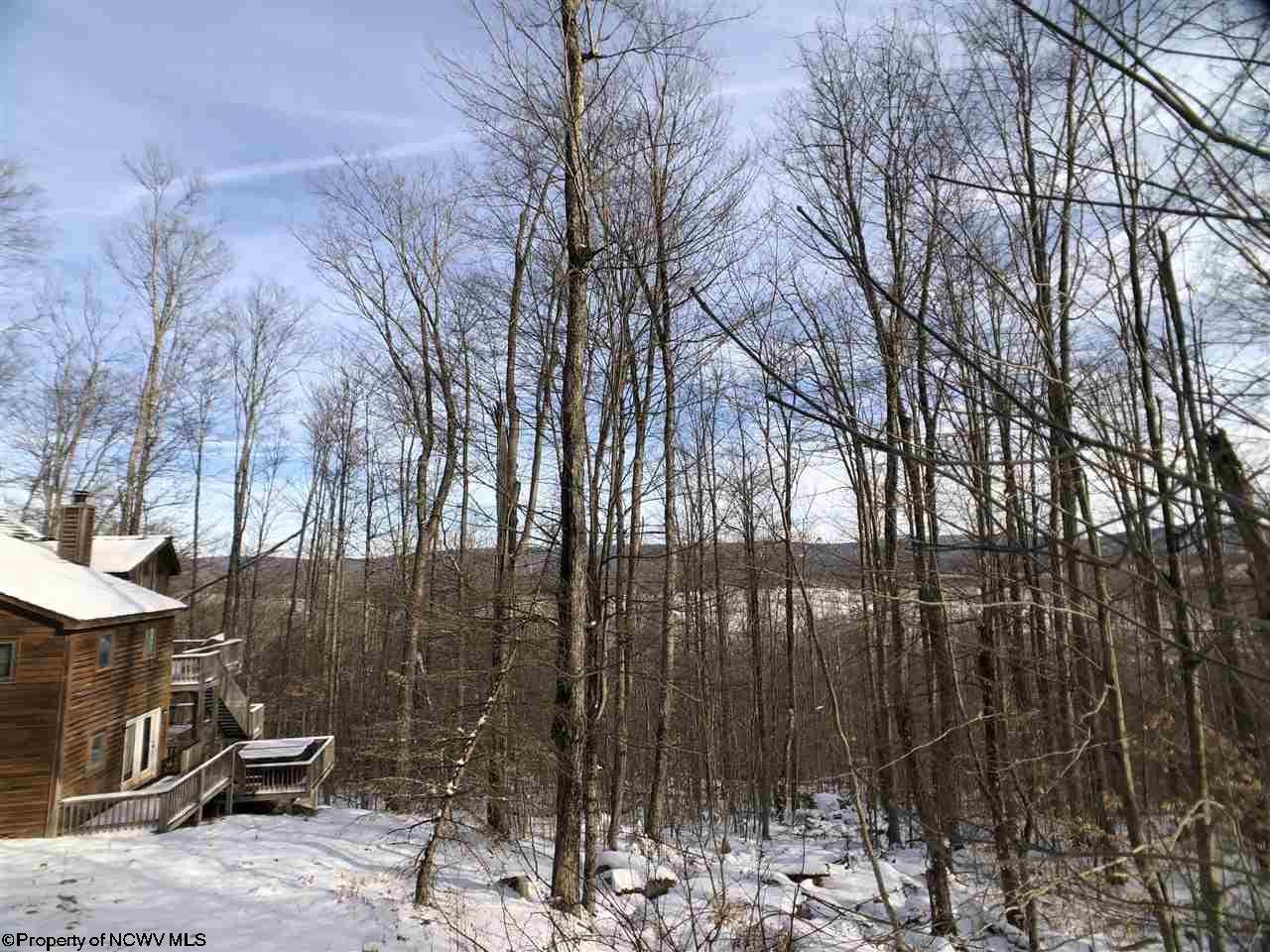 318 Northpoint Way Davis, WV 26260 - Photo 3 of 20 Gallery Image 3