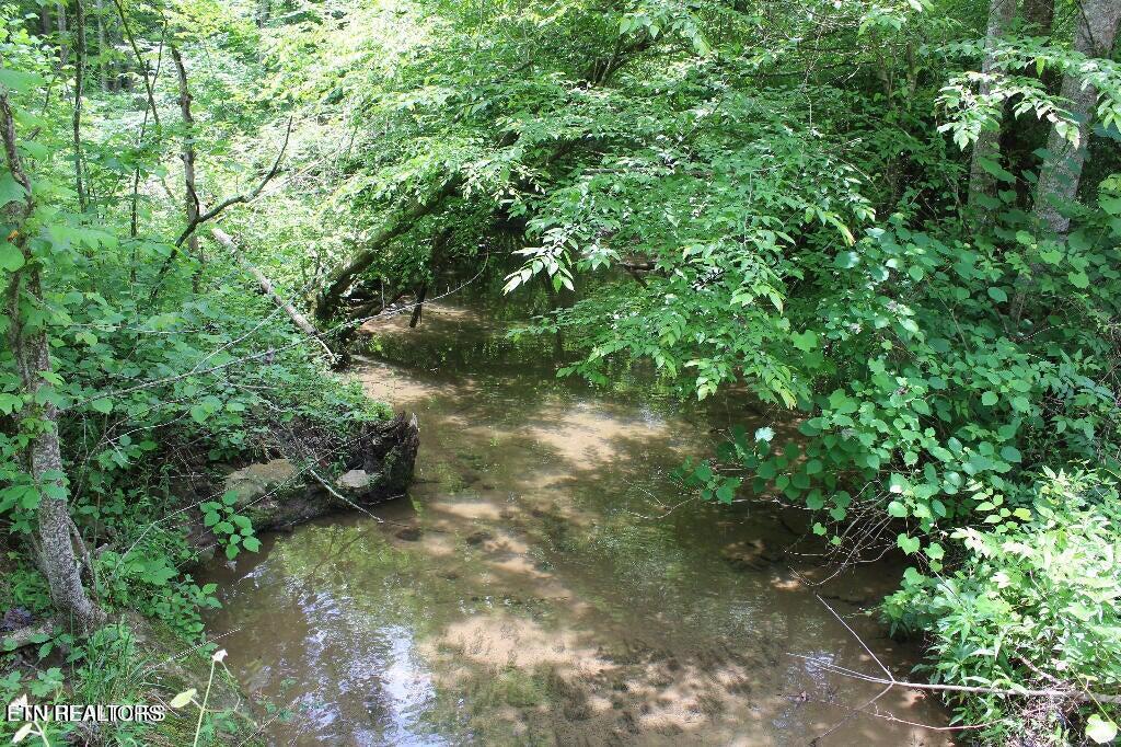 Claysville Road Crossville, TN 38571 - Photo 11 of 11 Creek on Claysville