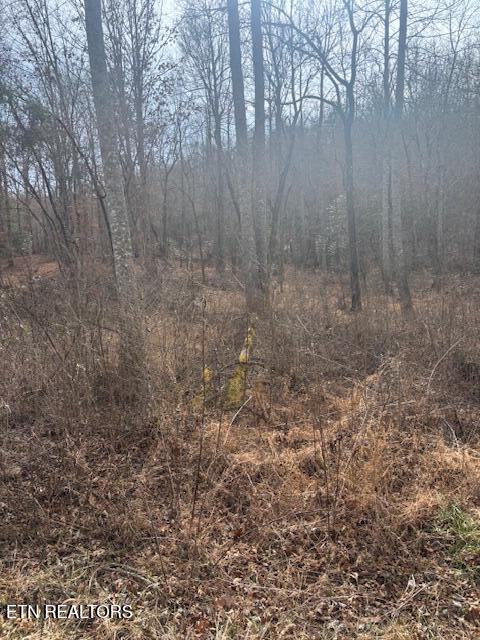 Claysville Road Crossville, TN 38571 - Photo 2 of 11 Front 2