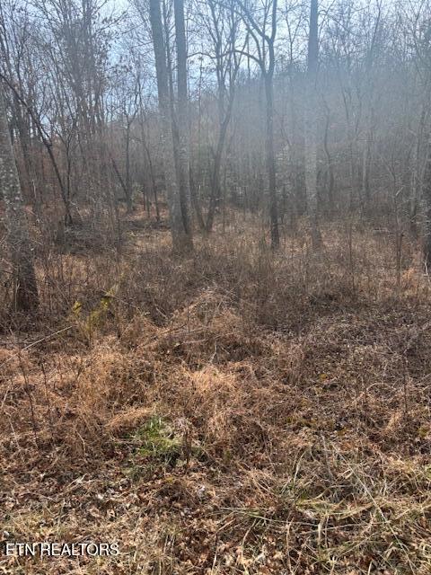 Claysville Road Crossville, TN 38571 - Photo 3 of 11 Front 3