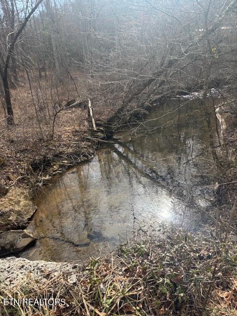 Claysville Road Crossville, TN 38571 - Photo 5 of 11 Creek
