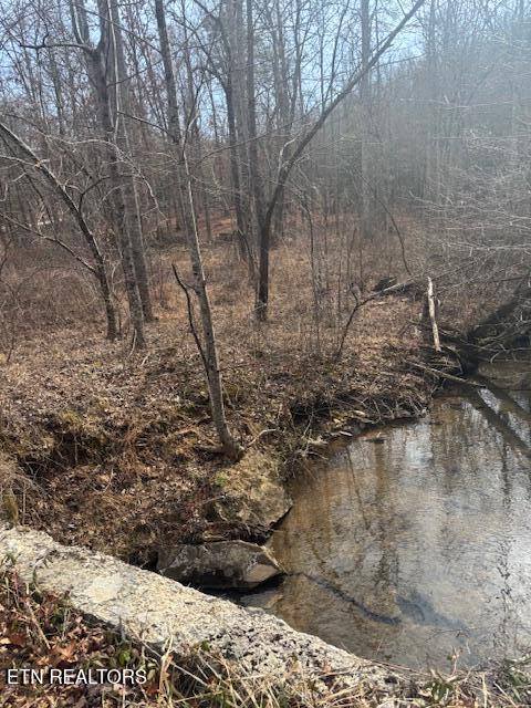 Claysville Road Crossville, TN 38571 - Photo 6 of 11 Creek2