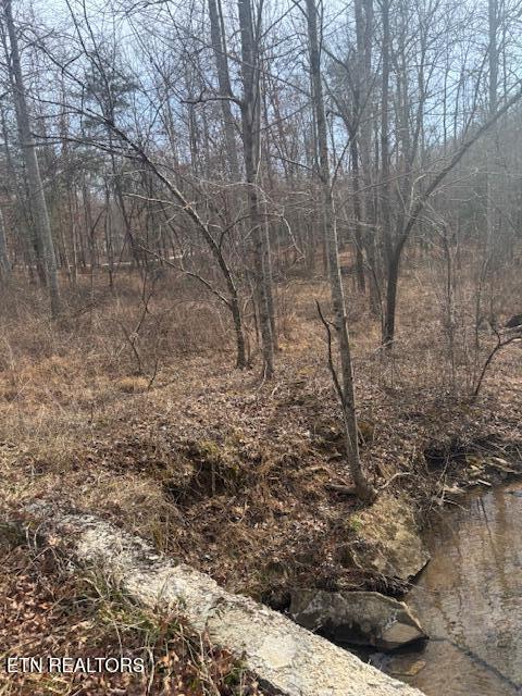 Claysville Road Crossville, TN 38571 - Photo 7 of 11 Creek3
