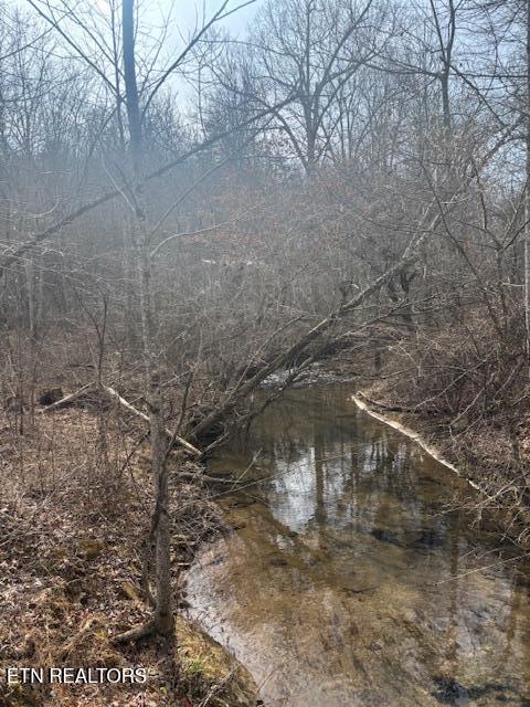Claysville Road Crossville, TN 38571 - Photo 8 of 11 Creek4