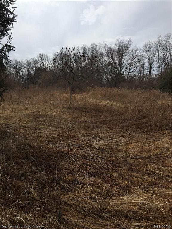 0 South Conklin Road Lake Orion, MI 48362 - Photo 2 of 2