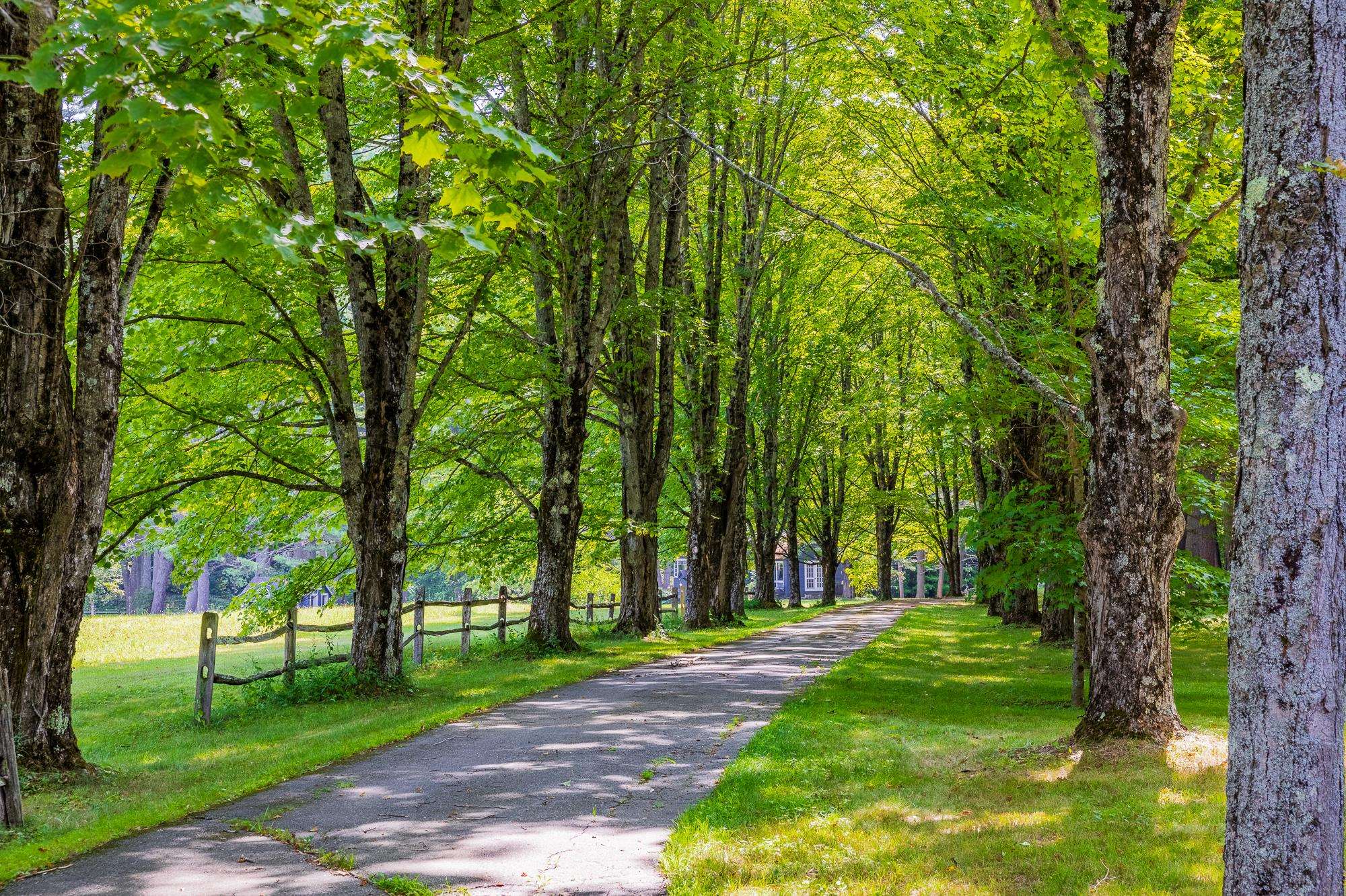 10 Bischoff Lane Hartland, VT 05048 - Photo 10 of 60