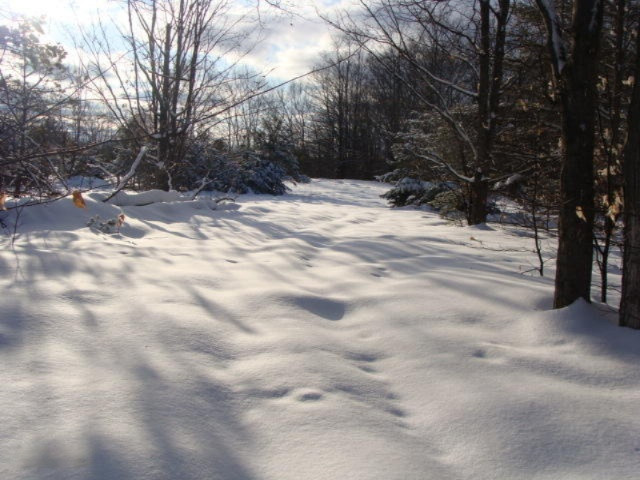 1100 Cool Road Southeast Kalkaska, MI 49646 - Photo 12 of 23 DSC03685