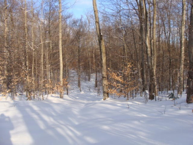 1100 Cool Road Southeast Kalkaska, MI 49646 - Photo 13 of 23 DSC03686