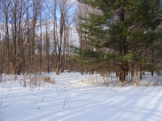 1100 Cool Road Southeast Kalkaska, MI 49646 - Photo 16 of 23 DSC03688