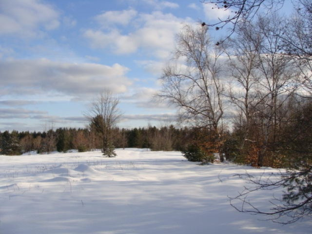 1100 Cool Road Southeast Kalkaska, MI 49646 - Photo 17 of 23 DSC03689