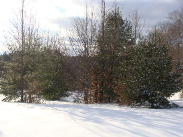 1100 Cool Road Southeast Kalkaska, MI 49646 - Photo 18 of 23 DSC03691