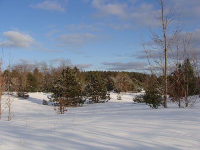 1100 Cool Road Southeast Kalkaska, MI 49646 - Photo 19 of 23 DSC03692