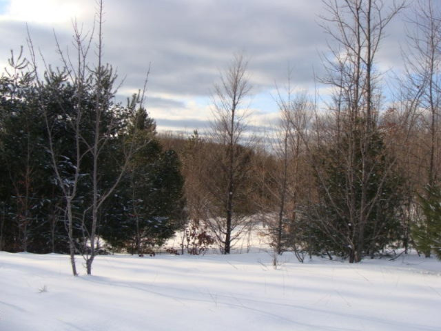 1100 Cool Road Southeast Kalkaska, MI 49646 - Photo 20 of 23 DSC03693