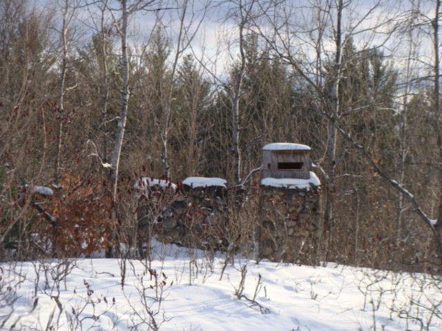 1100 Cool Road Southeast Kalkaska, MI 49646 - Photo 22 of 23 DSC03695