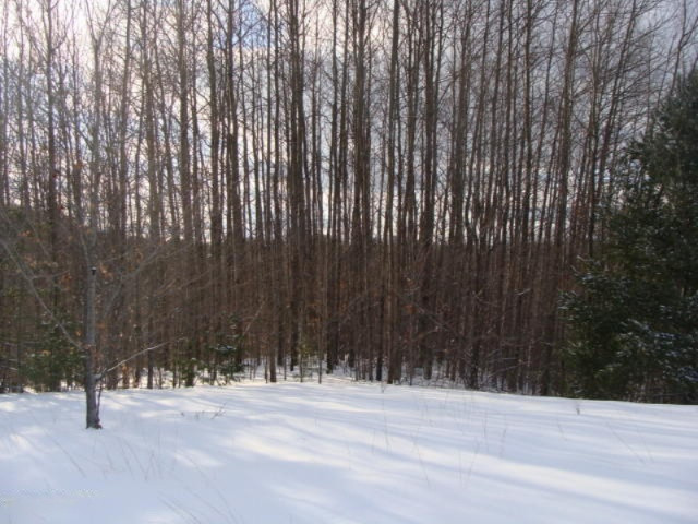 1100 Cool Road Southeast Kalkaska, MI 49646 - Photo 23 of 23 DSC03696