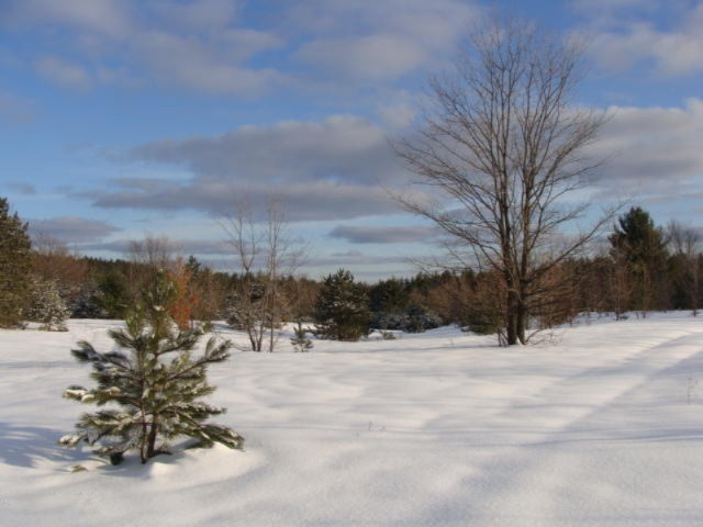 1100 Cool Road Southeast Kalkaska, MI 49646 - Photo 6 of 23 DSC03690