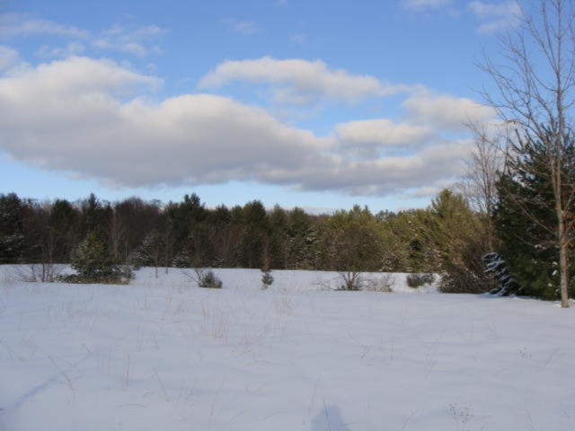 1100 Cool Road Southeast Kalkaska, MI 49646 - Photo 7 of 23 DSC03680