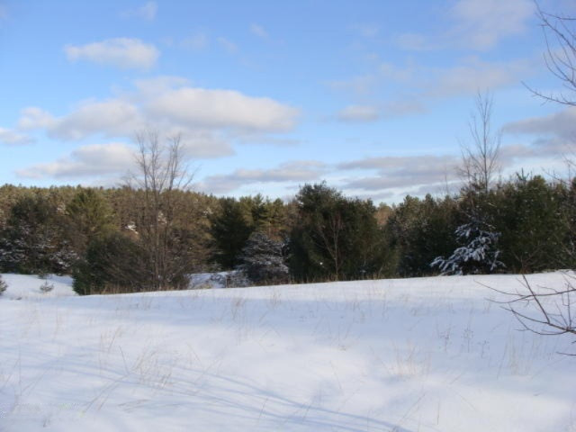 1100 Cool Road Southeast Kalkaska, MI 49646 - Photo 8 of 23 DSC03681