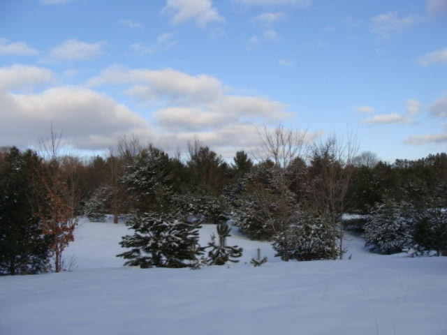 1100 Cool Road Southeast Kalkaska, MI 49646 - Photo 9 of 23 DSC03682