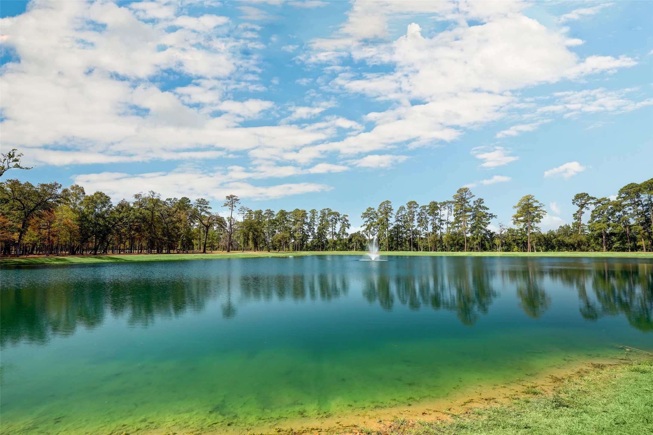 804 Fall Rock Branch Drive Conroe, TX 77304 - Photo 33 of 44 a view of a lake with houses in the back