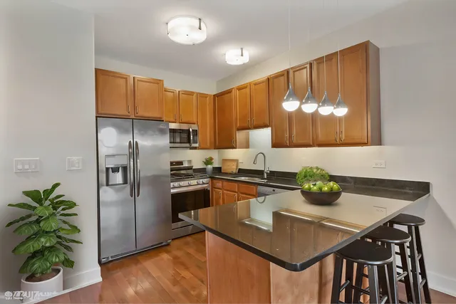 $3,105,000 | 4417 South Indiana Avenue, Chicago, IL 60653