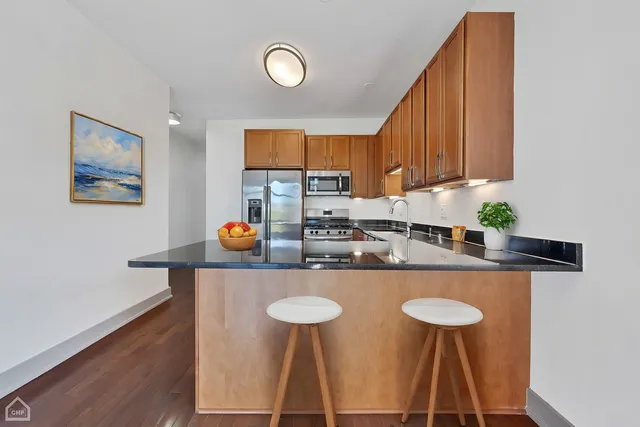 $3,105,000 | 4417 South Indiana Avenue, Chicago, IL 60653