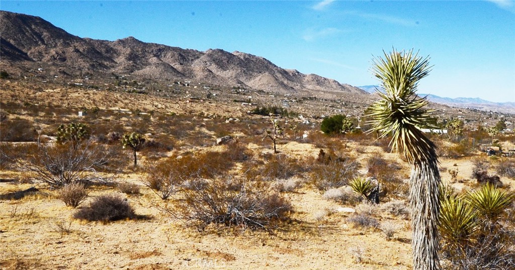 8675 Tortuga Trail Joshua Tree, CA 92252 - Photo 3 of 11 a view of a dry yard with mountains
