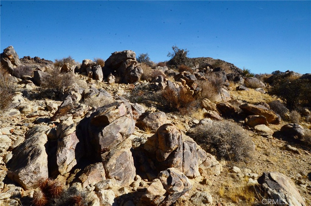 8675 Tortuga Trail Joshua Tree, CA 92252 - Photo 6 of 11