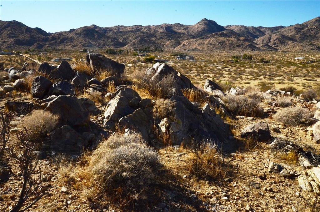 8675 Tortuga Trail Joshua Tree, CA 92252 - Photo 7 of 11
