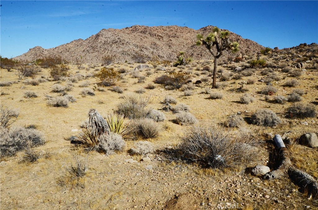 8675 Tortuga Trail Joshua Tree, CA 92252 - Photo 8 of 11 a view of a snow on a mountain