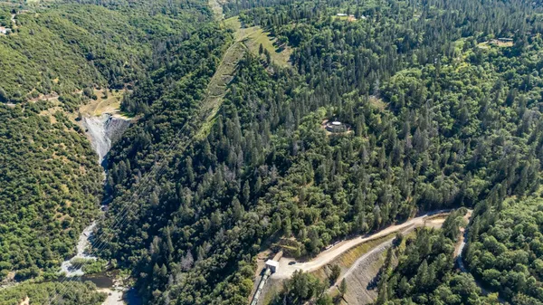a view of a yard with plants and wooden fence