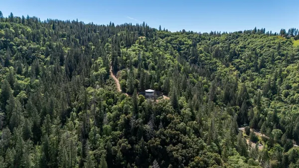 a view of a green field with lots of bushes