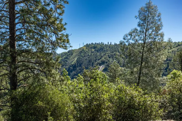 a view of a house with a tree