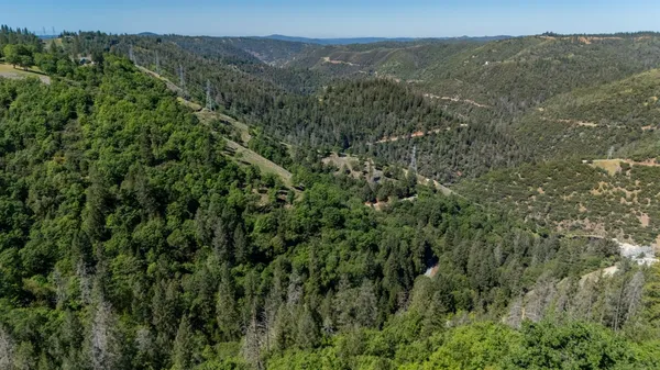 a view of a lush green forest with lush green forest