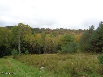 Creek Road Greentown, PA 18426 - Photo 7 of 16