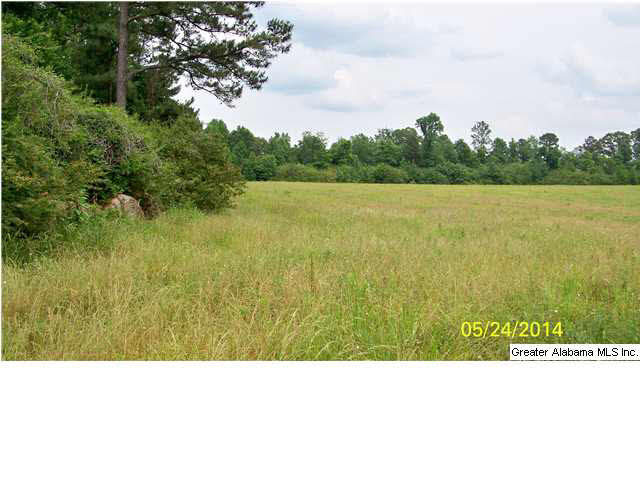 18 County Road, Unit 33 Bremen, AL 35033 - Photo 9 of 9