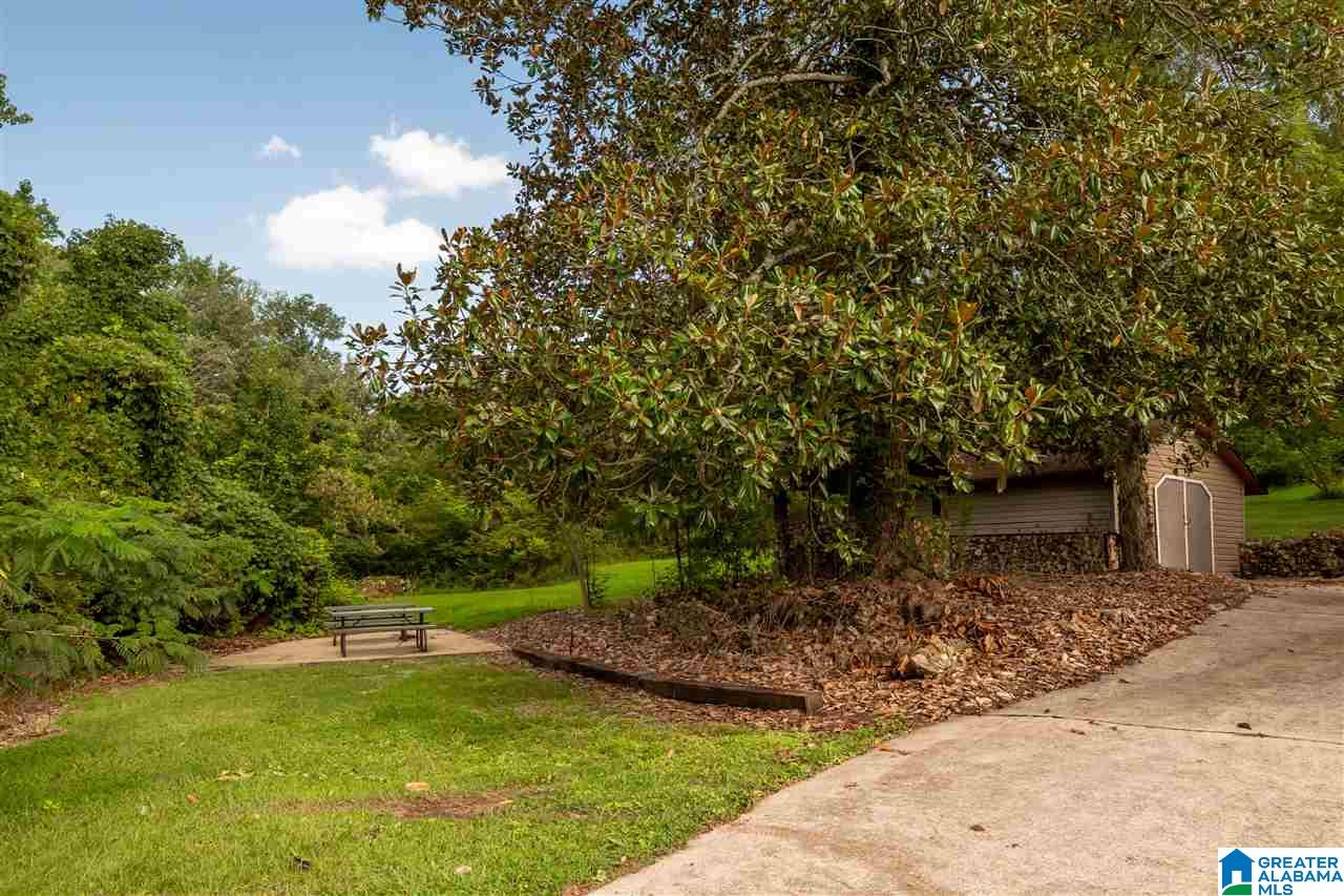 965 Pine Hill Road Birmingham, AL 35235 - Photo 35 of 38