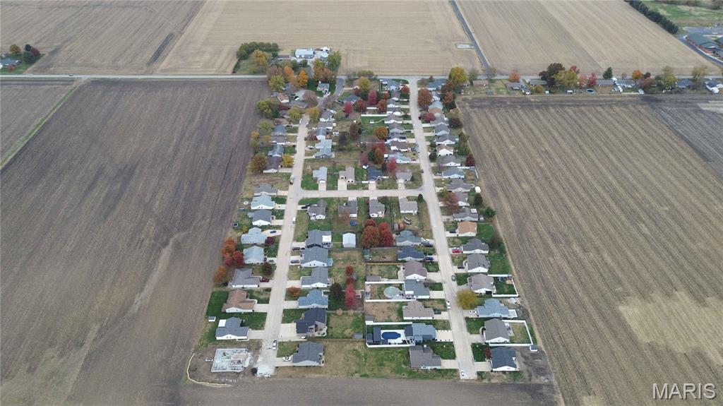 428 Pheasant Lane Moro, IL 62067 - Photo 56 of 59