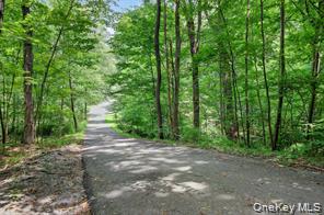 72 Peddler Hill Road Monroe, NY 10950 - Photo 42 of 43