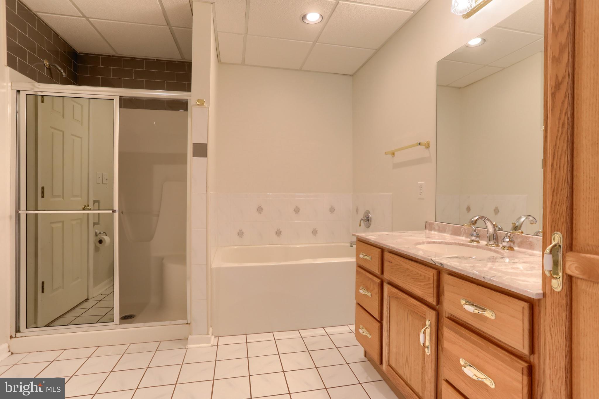 7304 Sandy Hollow Road Harrisburg, PA 17112 - Photo 25 of 49 Spacious bathroom with modern fixtures.