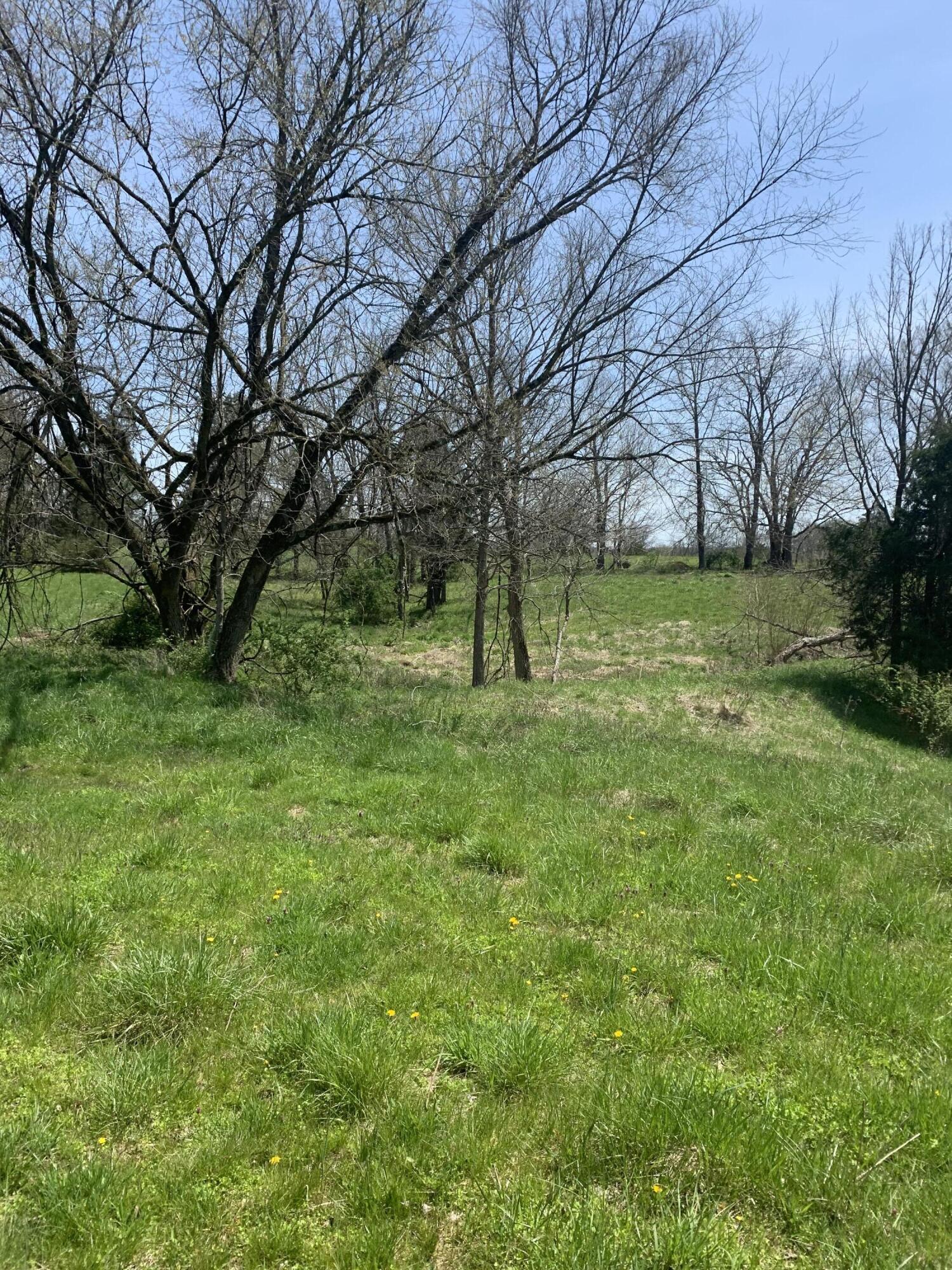 1000 Britton Road Harrodsburg, KY 40330 - Photo 13 of 88 55C05795-C539-4F08-B31D-7C1ECAFB7262