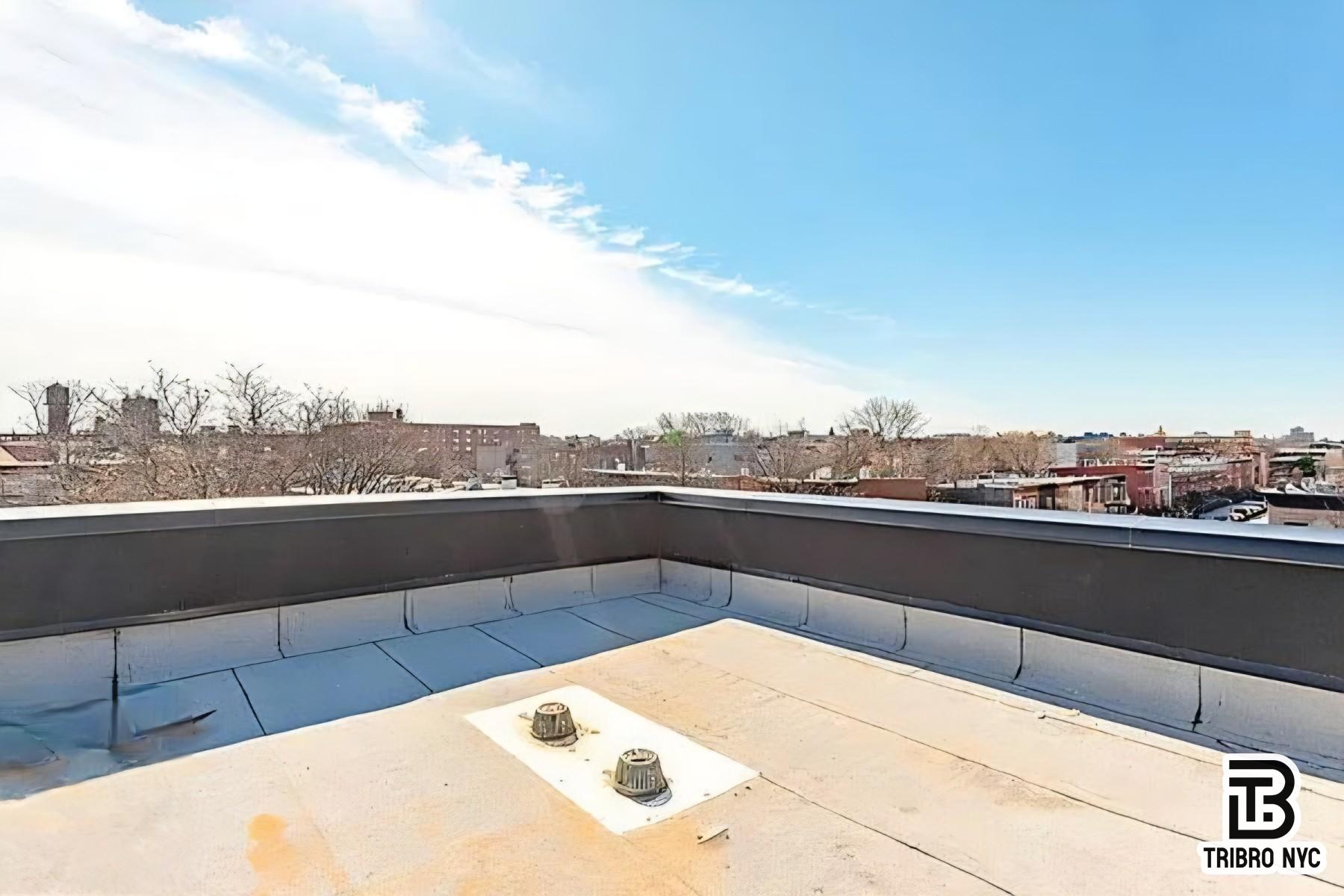 771 Lexington Avenue, Unit 4B Brooklyn, NY 11221 - Photo 6 of 12 Photo 6