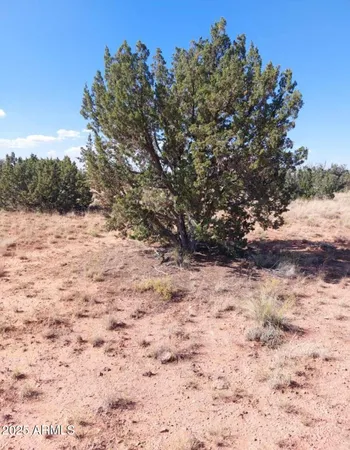 $57,000 | 5912 Cow Bell Road, Unit 67, Heber, AZ 85928